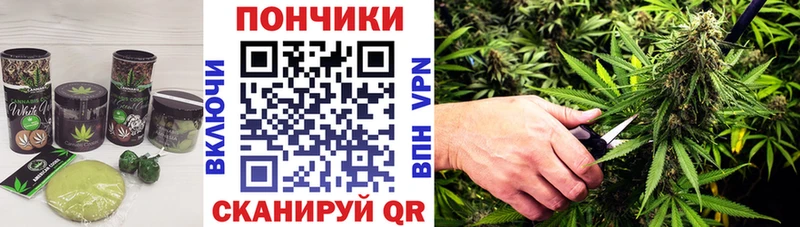 Cannafood конопля  Купить  Николаевск 
