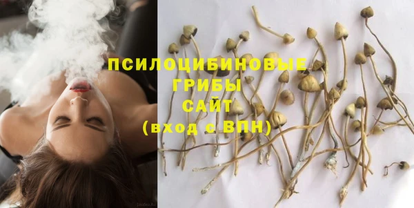 трава Ладушкин