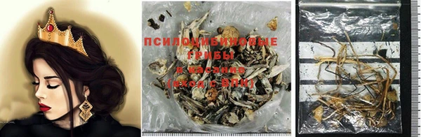 мяу мяу мука Лагань